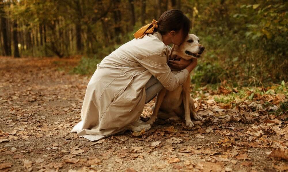 garde de chien a rennes