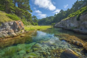 Découverte des réserves naturelles de la Bretagne