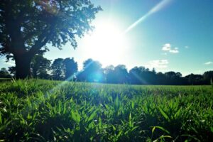 Les prairies saint Martin à Rennes